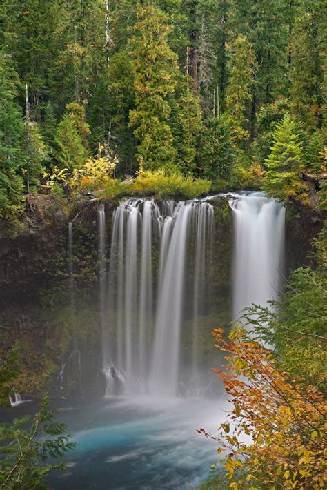 McKenzie River Waterfall: Photo by Photographer Don Paulson | Oregon waterfalls, Waterfall ...