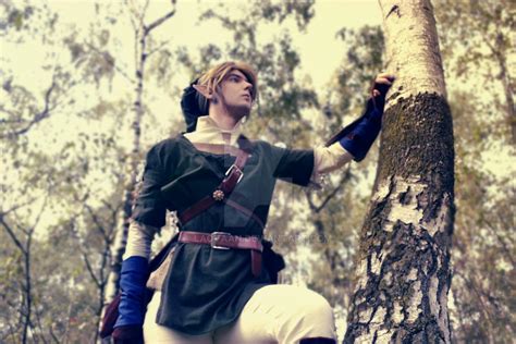 Link Cosplay #4 by Laovaan on DeviantArt