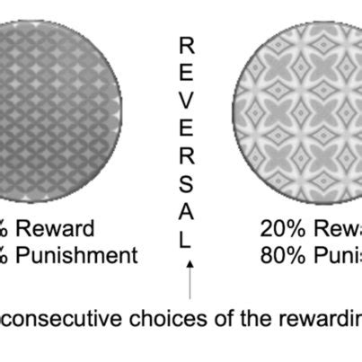 | Schematic representation of the probabilistic reversal learning test ...