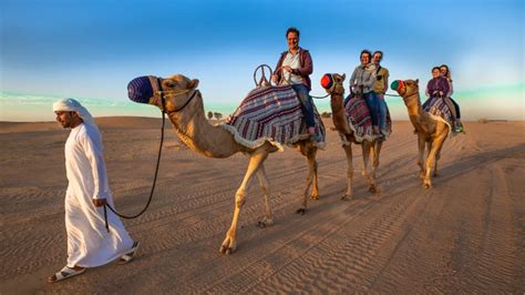 Dubai Desert Safari Tours - Complete Guide