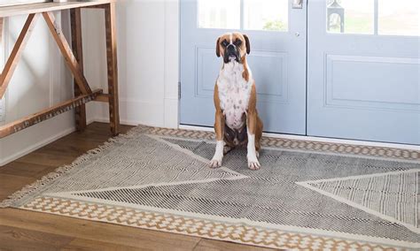 10 Best Entryway Rugs For Hardwood Floors (2023)