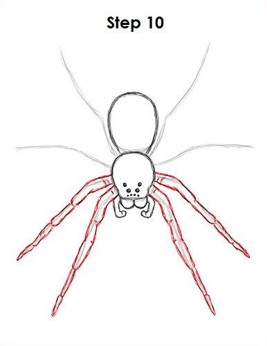 How to Draw a Spider (Wolf Spider) VIDEO & Step-by-Step Pictures | Spider drawing, Drawings, Spider