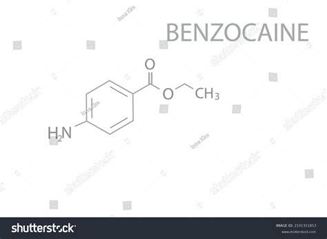 Benzocaine Molecular Skeletal Chemical Formula Stock Vector (Royalty ...