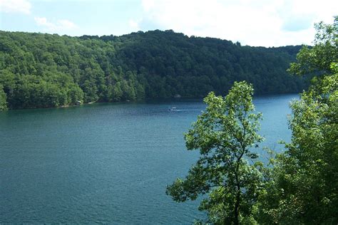 Fish on 2,800 acres of water at Summersville Lake | Summersville lake ...