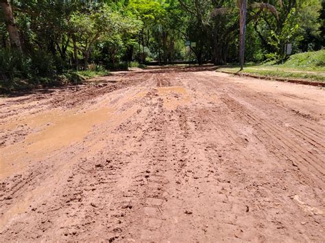 Frequentadores reclamam da lama em trecho da Lagoa do Taquaral - CBN Campinas 99,1 FM