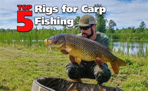 Top 5 Rigs for Carp Fishing | Fish'n Canada