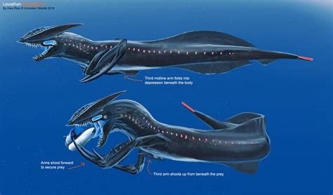 an artist's rendering of two whales with their mouths open