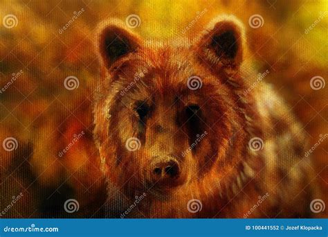 Head of Mighty Brown Bear, Oil Painting on Canvas and Graphic Collage. Eye Contact. Stock ...