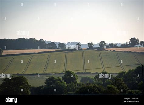 agricultural farm crop fields in england uk Stock Photo - Alamy