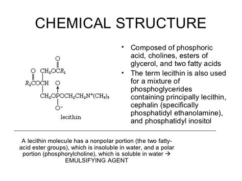 Lecithin