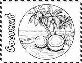 Premium Vector  Coconut Coloring Page For Kids sketch template