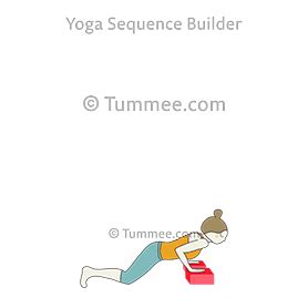 Four Limbed Staff Pose Blocks Yoga (Chaturanga Dandasana Blocks) | Yoga Sequences, Benefits ...