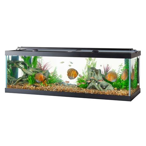 Aqueon Standard Glass Aquarium Tank 55 Gallon | ubicaciondepersonas.cdmx.gob.mx