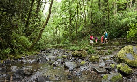 Kid-Friendly Hikes | The Official Guide to Portland