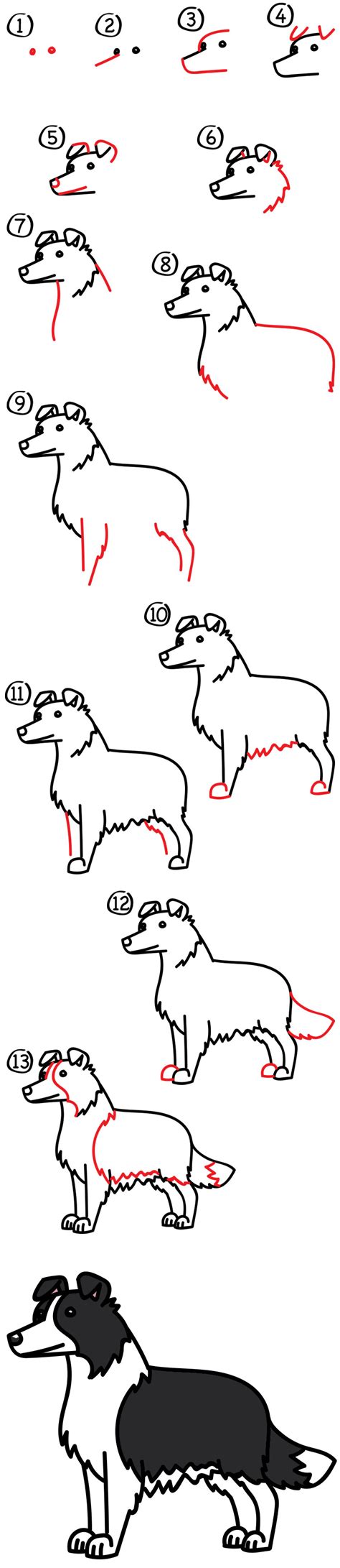 How To Draw A Border Collie - Art For Kids Hub