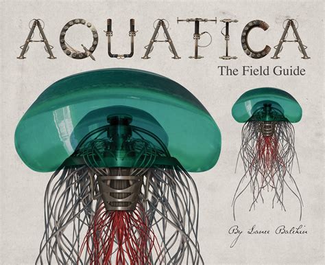 Lance Balchin on Twitter: "Jellyfish from m book Aquatica, more at https://t.co/3VzDyDvfOe # ...