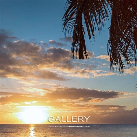 Gallery – Tanjung Sepang Beach Resort