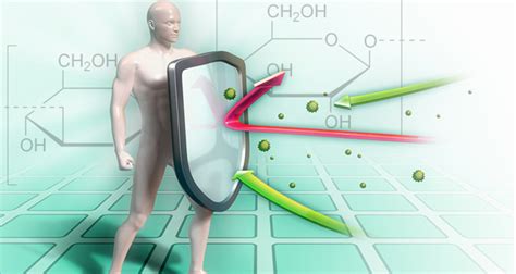 How Beta Glucans Boost Immunity & Fight Cancer