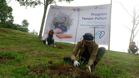 Jadi Tuan Rumah Bakti Bumn Indonesia Inalum Tanam Pohon Di Danau Toba ...