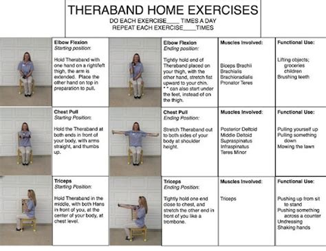 Upper Body Theraband Exercises For Seniors – Exercise