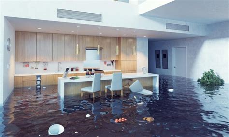 Effects of Water Damage | National Disaster Recovery