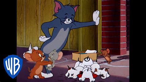 Tom & Jerry | Holidays with Family ?| Classic Cartoon | WB Kids