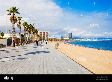 Playa de la Barceloneta city beach in the centre of Barcelona city ...