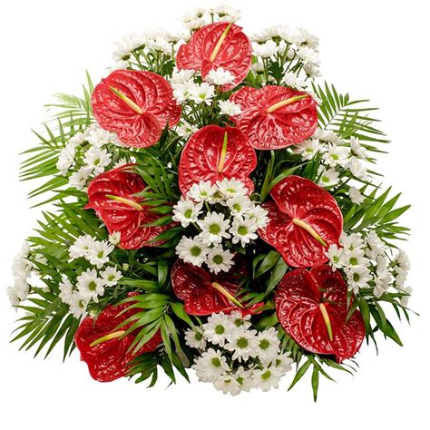 anthurium flower arrangements - Google Search | Anthurium flower ...