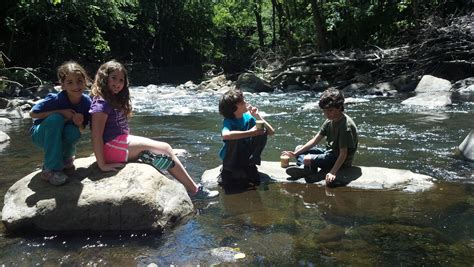 children playing in nature - Google Search | Kids playing, Helping kids, Children