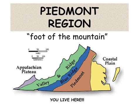 PPT - PIEDMONT REGION PowerPoint Presentation, free download - ID:134718