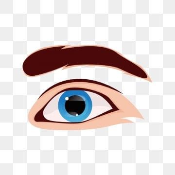 Eye Vector Art PNG Images | Free Download On Pngtree