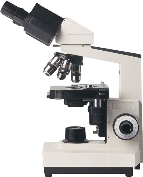 Microscope | Types, Parts, History, Diagram, & Facts | Britannica