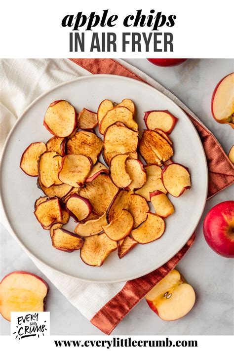 Dehydrate Apples in Air Fryer - Every Little Crumb