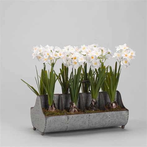 Add a touch of rustic charm to your home decor with this arrangement of faux paperwhite bulbs ...