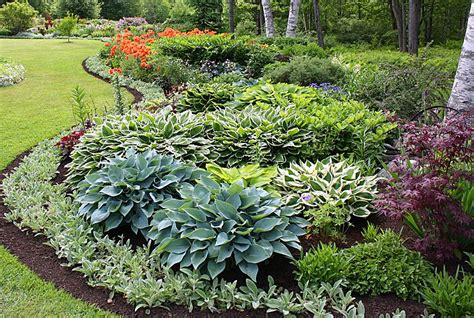 Hosta, lambs ear, lilies, coral bells shade garden | Shade garden, Plants, Beautiful gardens