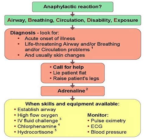 How to deal with anaphylactic shock. Emt Study, Nurse Study Notes, Allergy Medicine, Cough ...