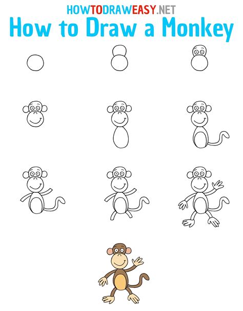 How To Draw A Monkey Step By Step