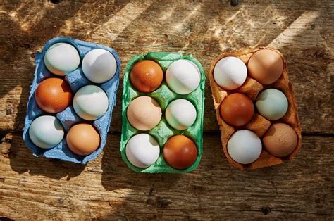 Eggs and animal welfare | Features | Jamie Oliver