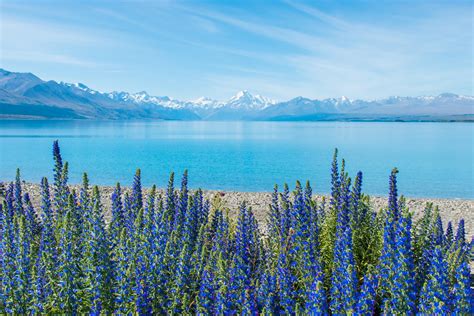 Lake Pukaki, New Zealand [3567x2378] [OC] : r/EarthPorn