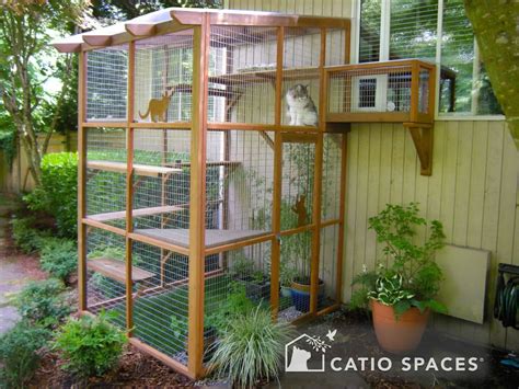 DIY Catio Plans & Catio Design Ideas | How To Build a Catio Space