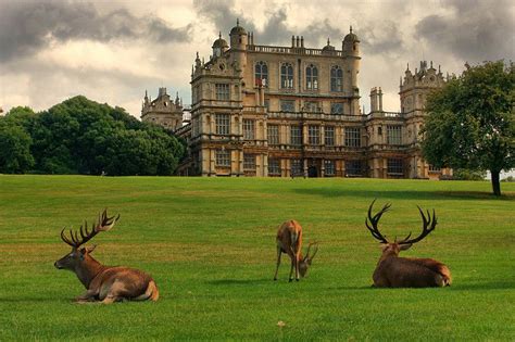 Wayne manor wollaton hall and deer park – Artofit