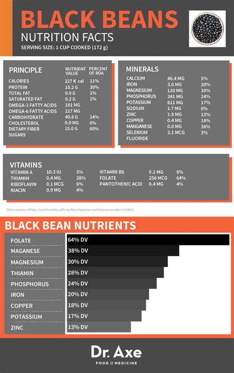 Black Beans Nutrition, Health Benefits & Recipes