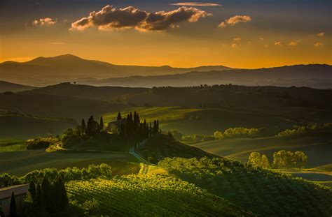 Tuscany Sunrise: Serene Vineyard Landscape - 4K Ultra HD Wallpaper