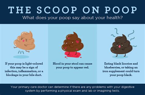 Poop Appearance - The Scoop on Your Poop's Size, Shape & Color