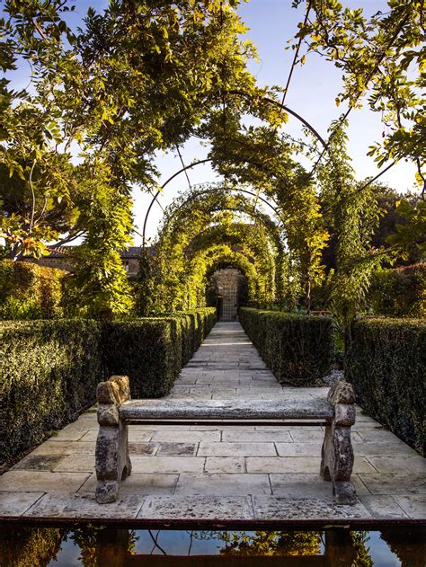 In his native Italy, garden designer Luciano Giubbilei has created a verdant oasis that grows ...