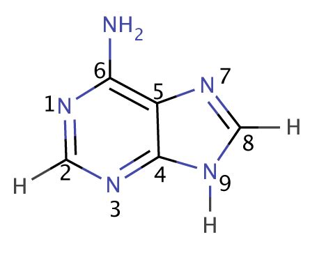 Adenine And Uracil Bond: What,How,Detailed Facts – Lambda Geeks