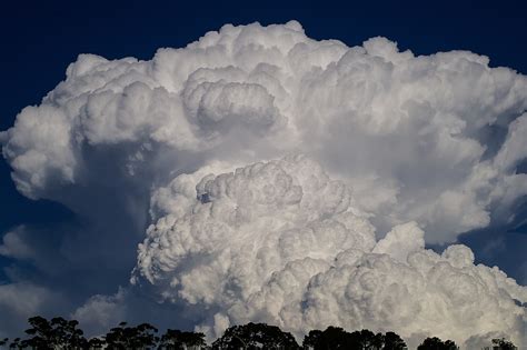 Gambar Foto Gratis Pemandangan Langit Awan Alam Gambar Pohon Tampilan Besar di Rebanas - Rebanas