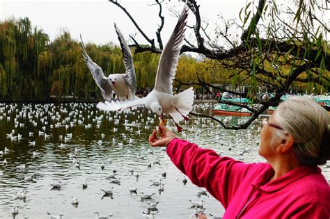 Green Lake in Kunming, Kunming Cuihu Park – Yunnan Tour, Yunnan Travel, Yunnan Travel Agency ...