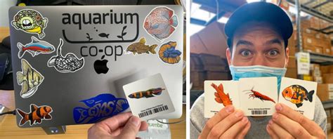 Staff Picks: 10 Perfect Gifts for the Aquarium Co-Op Enthusiast