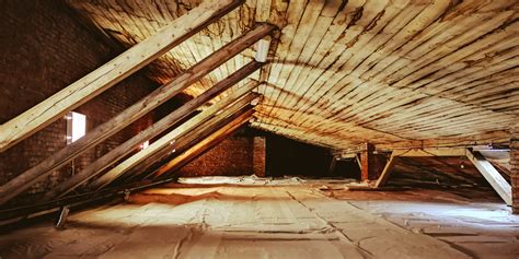 The Benefits of Attic Cleanup: What You Need to Know - Best Animal ...